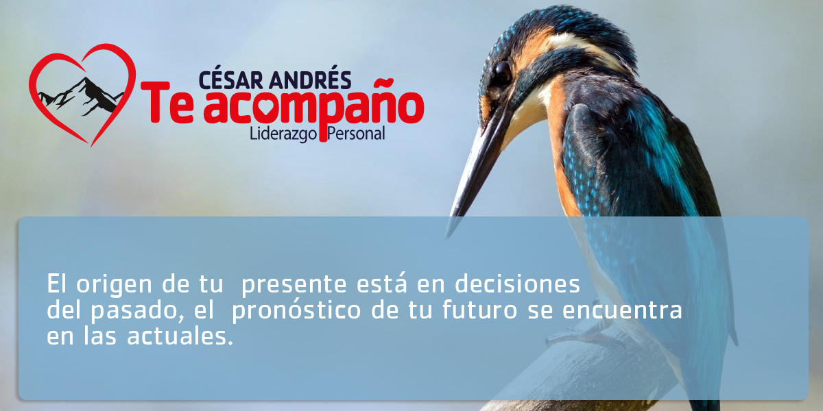 EL ORIGEN DE TU PRESENTE