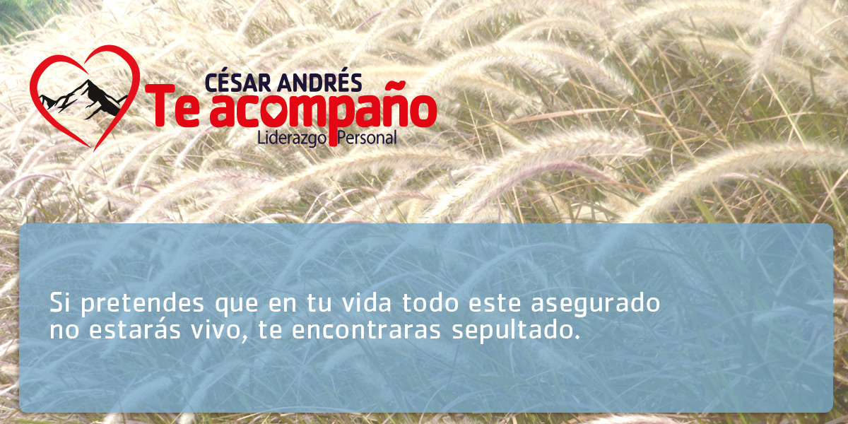 SI PRETENDES QUE TODO ESTE ASEGURADO