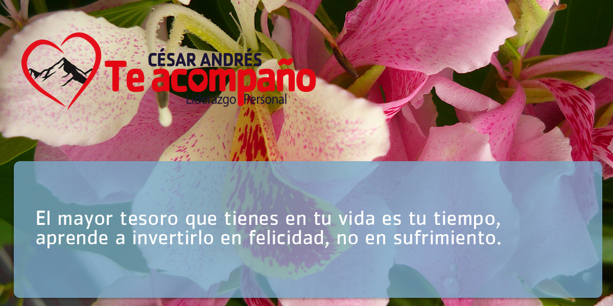 EL MAYOR TESORO QUE TIENES